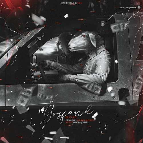 موری گوسفند